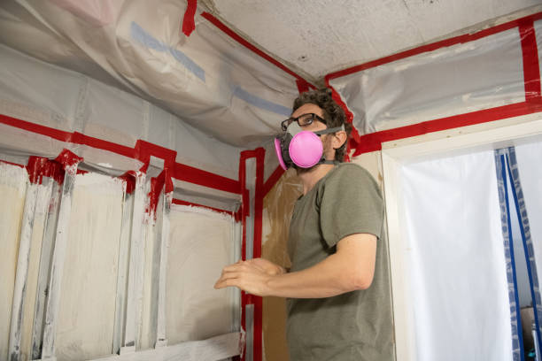 Asbestos and Lead Testing During Mold Inspection in Jacksonville, OR