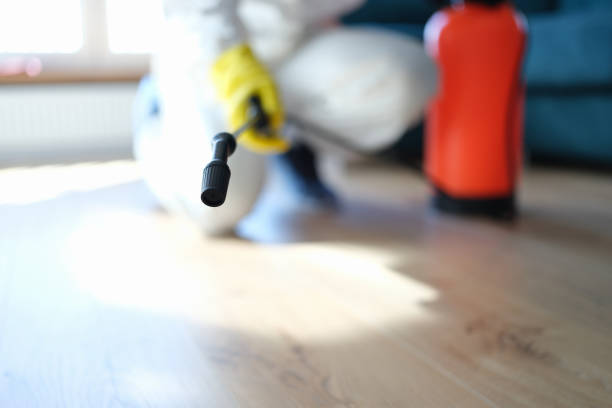 Trusted Jacksonville, OR Mold Removal Experts