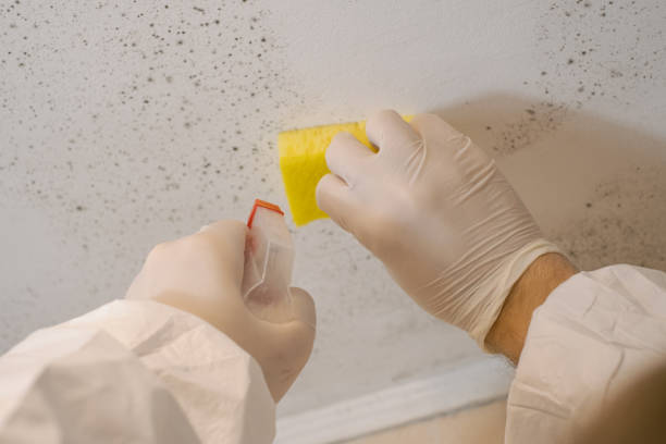Best Forensic Mold Investigation  in Jacksonville, OR